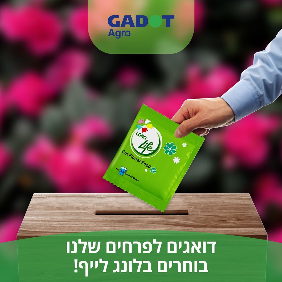 DINH DƯỠNG HOA CẮT CÀNH NHẬP KHẨU ISRAEL Food for Cut Flowers)Giúp hoa lâu tàn và 14 ngày không thay nước