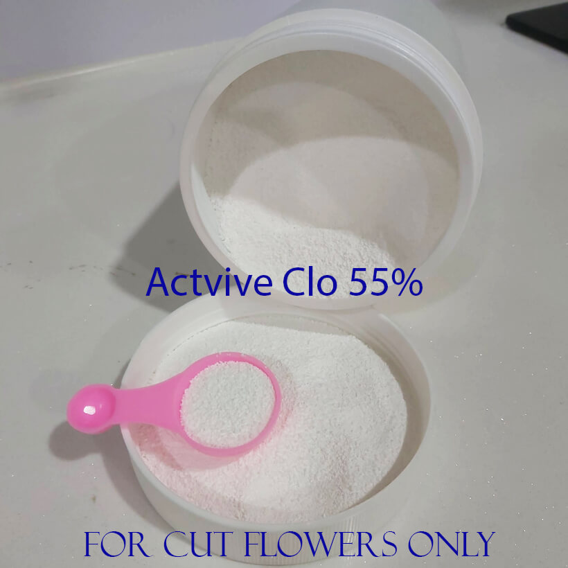 1KG CLO Rữa Hoa (Pha 11.000L nước) giúp cân bằng độ pH trong nước xử lý hoa