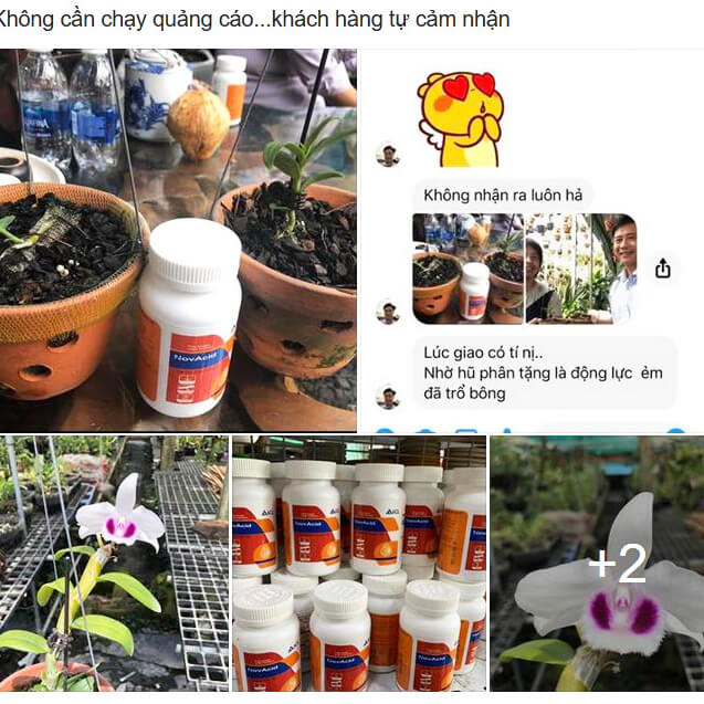 Phân Hòa Tan Phun Cây Hoa Lan (túi 1kg) Novacid 19-19-19+3CaO giúp thúc ra rễ nhanh và tạo mầm hoa khỏe