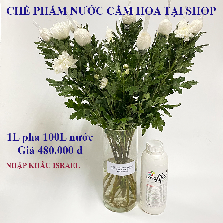 100L Nước Cắm Hoa Lâu Tàn Tại Shop Florist hiệu Longlife Sl nhập khẩu Israel