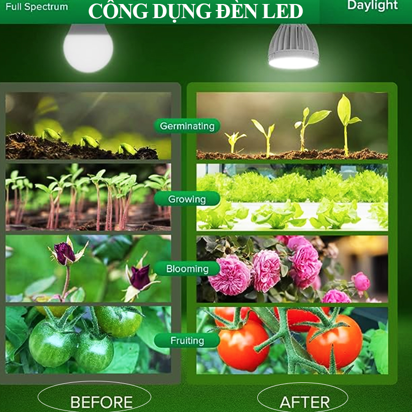 Công Nghệ Đèn Trồng Cây Nông Nghiệp Grow Light Bulb 45W kích thích tăng trường cây trong nhà